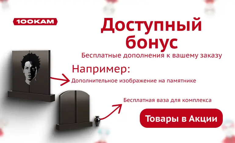 Бонус к вашему заказу - 100КАМ