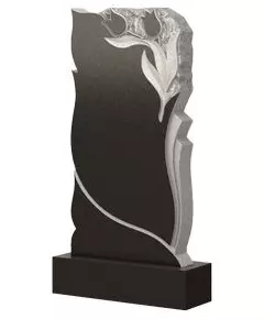 Комплект памятника AM1869 из гранита